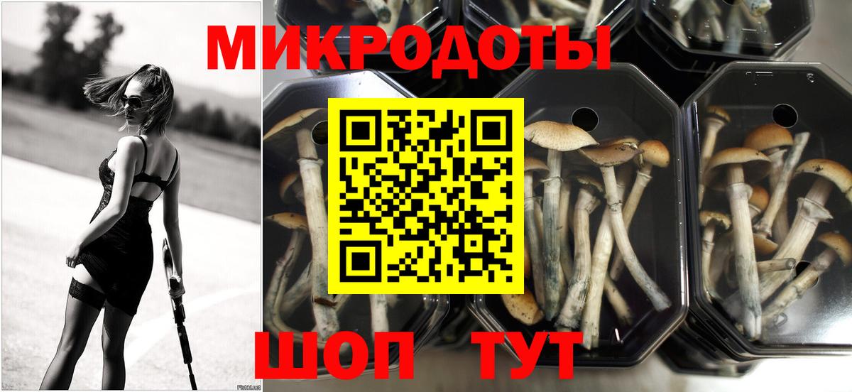 Псилоцибиновые грибы Psilocybine cubensis Видное